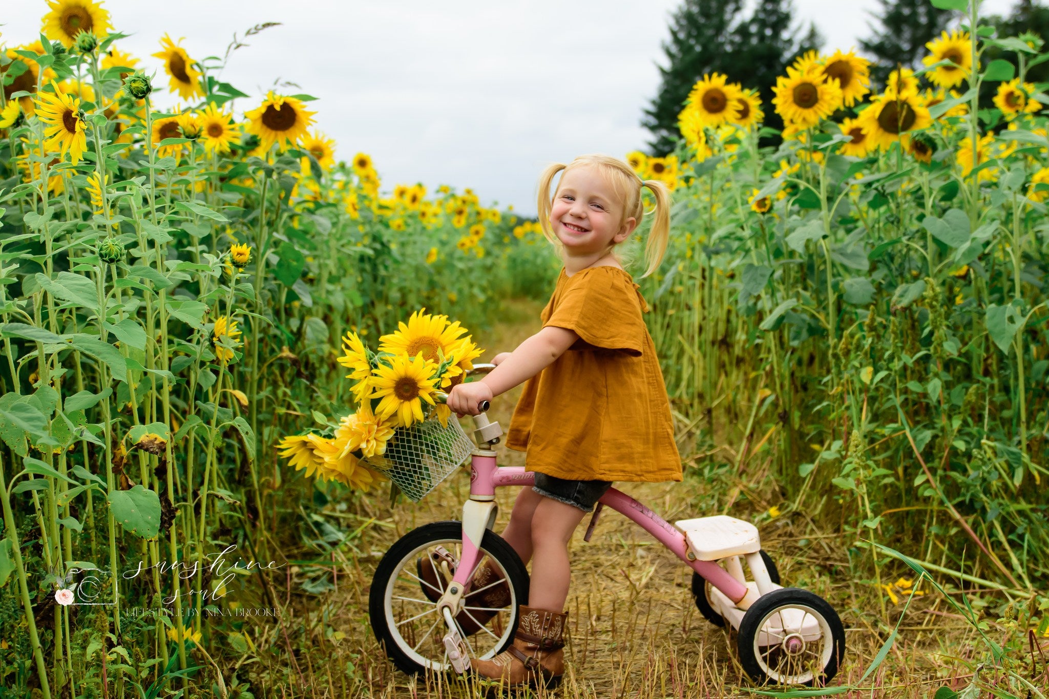 Sunflower Owl Forest Farm Minis