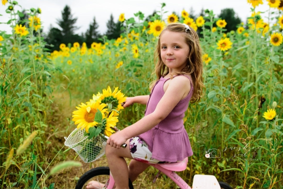 Sunflower Owl Forest Farm Minis