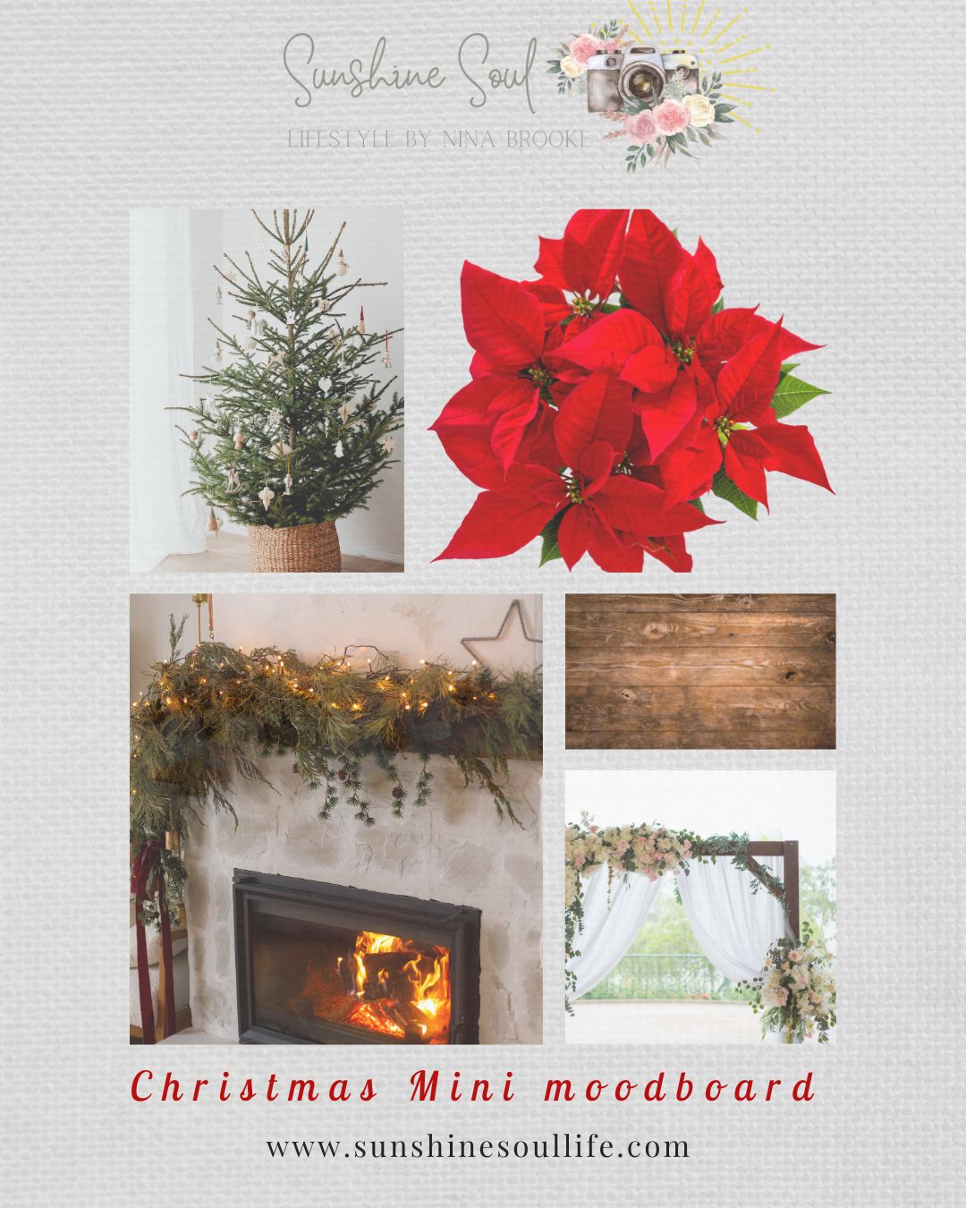 Floral Christmas Sessions