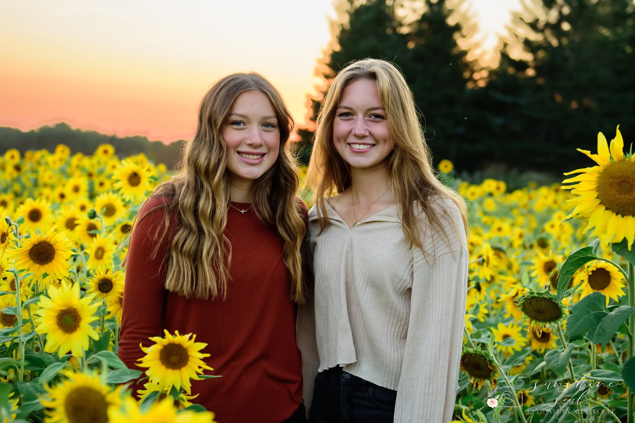 Sunflower Owl Forest Farm Minis