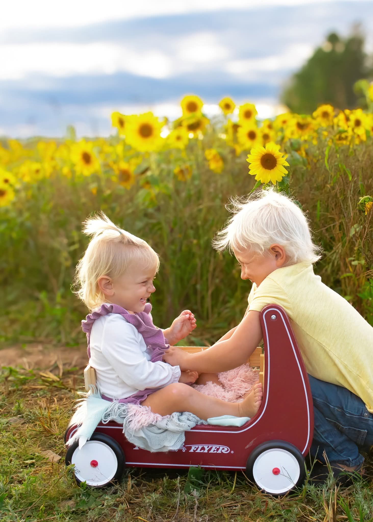 Sunflower Owl Forest Farm Minis