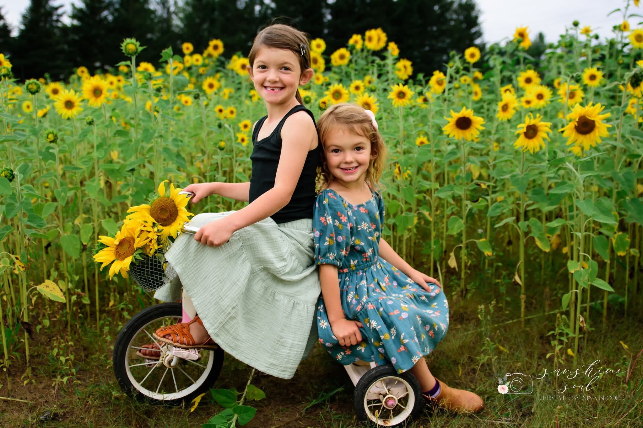 Sunflower Owl Forest Farm Minis