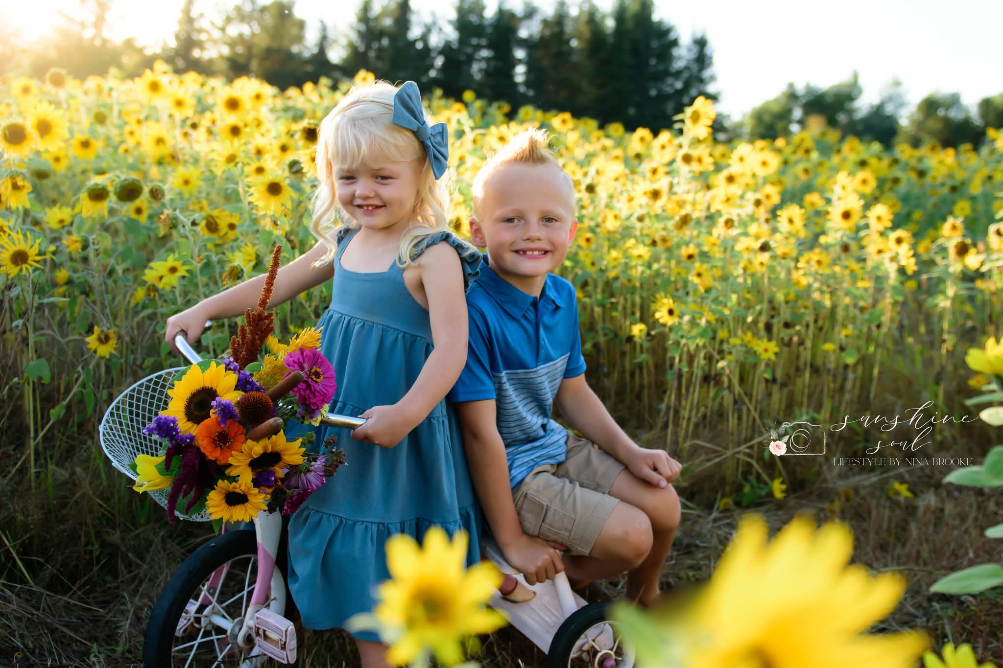 Sunflower Owl Forest Farm Minis